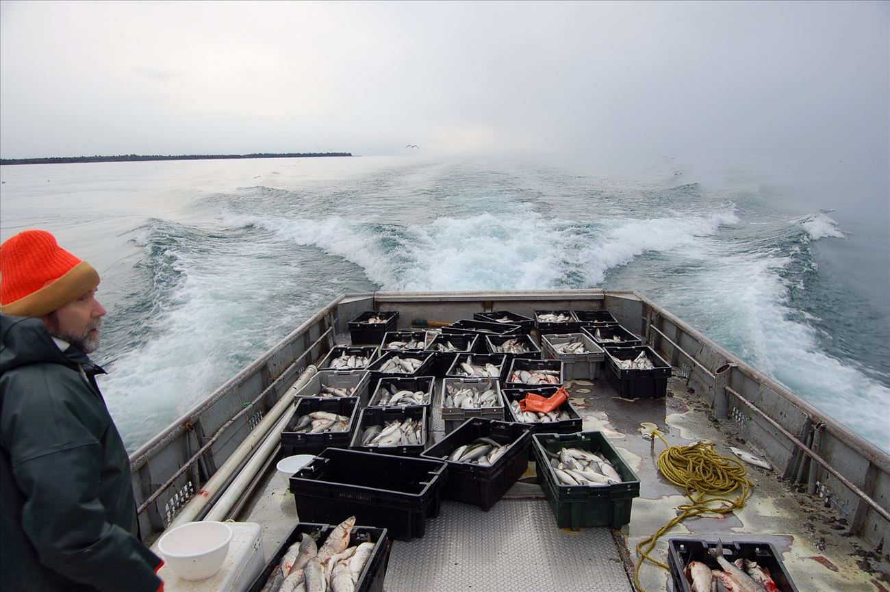 The Life of a Commercial Fisherman - Great Lakes Fisheries