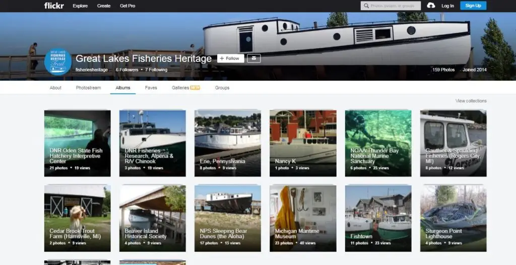flickr gallery
