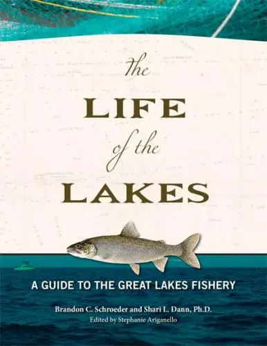 Life of the Lakes