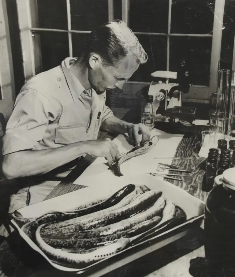 Applegate in Sea Lamprey Lab