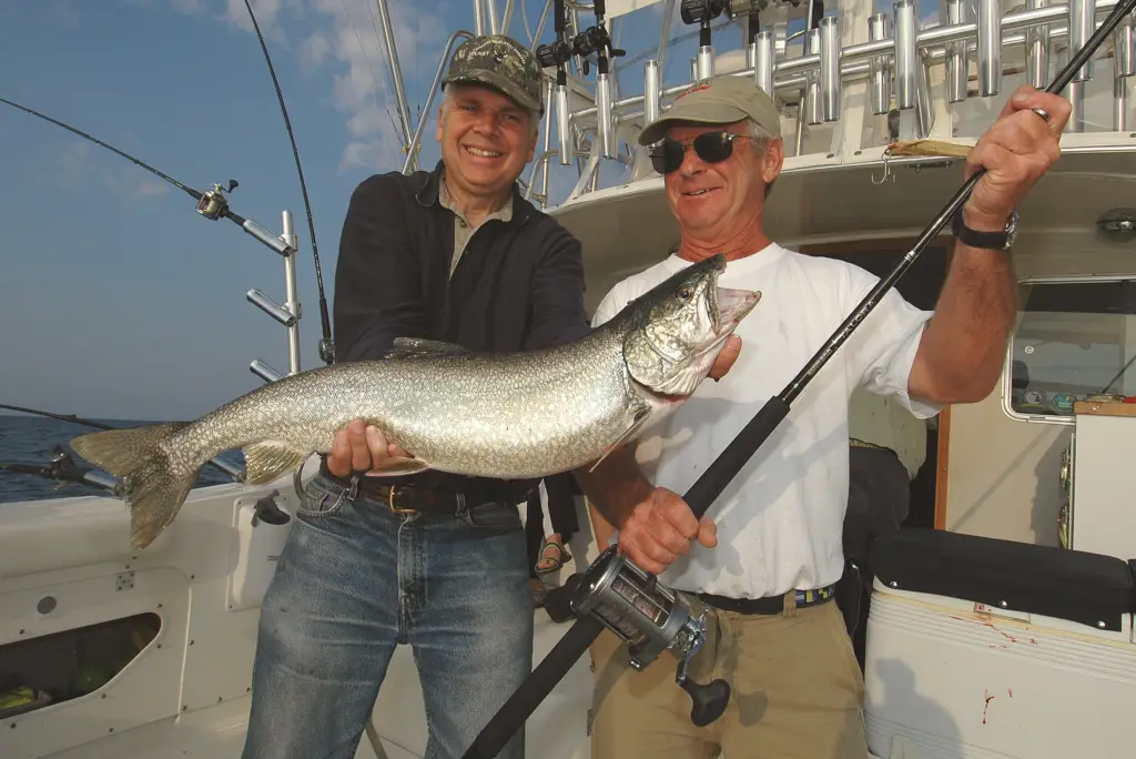 Denny Grinold with Dr. Bill Taylor (MSU Fisheries and Wildlife) and Lake Michigan Lake Trout (Fish 'N' Grin Charters)