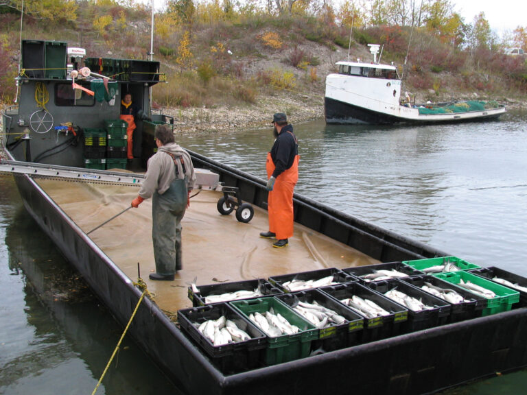 Northern Lake Huron Trap Net fishing vessels at Rockport (Michigan Sea Grant)